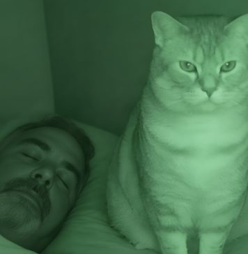 Nisam razumela zašto nas mačka svake noći posmatra mene i mog muža dok spavamo. Nisam razumela zašto nas mačka svake noći posmatra mene i mog muža dok spavamo. - featured image