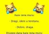 VIC DANA : Preljuba VIC DANA : Preljuba - featured image
