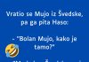 VIC DANA: Vratio se Mujo iz Švedske VIC DANA: Vratio se Mujo iz Švedske - featured image