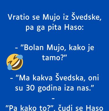 VIC DANA: Vratio se Mujo iz Švedske VIC DANA: Vratio se Mujo iz Švedske - featured image