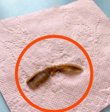 Neobičan predmet u kući: šta može biti i kada treba da se zabrinete Neobičan predmet u kući: šta može biti i kada treba da se zabrinete - featured image