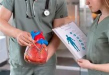 Ako pijete lijekove za srce ili pritisak, ovu voćku nikako ne smijete jesti – terapija može postati otrov Ako pijete lijekove za srce ili pritisak, ovu voćku nikako ne smijete jesti – terapija može postati otrov - featured image