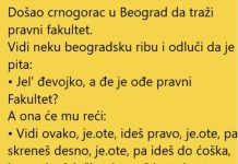 VIC DANA !! CRNOGGORAC U BEOGRADU