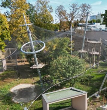 Vrisci odzvanjali zoološkim vrtom! Trogodišnjak bačen krokodilima – šta se ovo dešava?! Vrisci odzvanjali zoološkim vrtom! Trogodišnjak bačen krokodilima – šta se ovo dešava?! - featured image