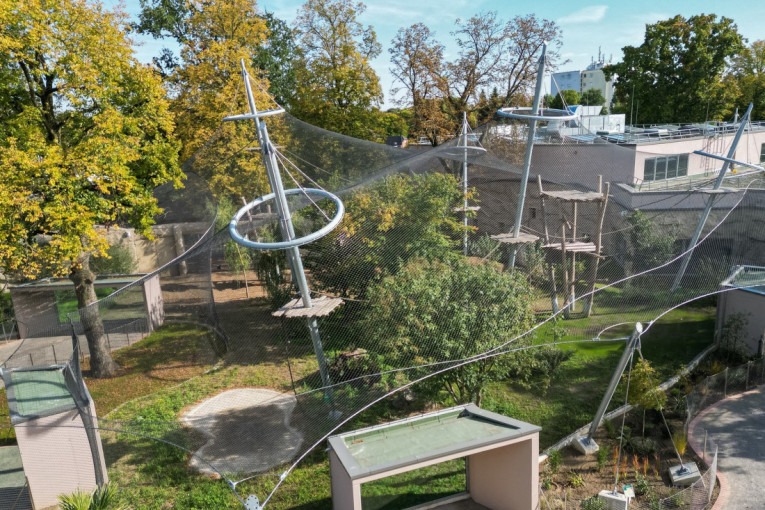 Vrisci odzvanjali zoološkim vrtom! Trogodišnjak bačen krokodilima – šta se ovo dešava?! - featured image Vrisci odzvanjali zoološkim vrtom! Trogodišnjak bačen krokodilima – šta se ovo dešava?! - featured image
