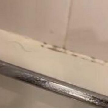 Za 10 minuta fugne će biti kao nove: Mrlje nestaju kao magijom uz 1 sastojak koji svi imamo u kući Za 10 minuta fugne će biti kao nove: Mrlje nestaju kao magijom uz 1 sastojak koji svi imamo u kući - featured image