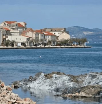 Zastrašujuće otkriće u Hrvatskoj. Na popularnoj plaži izronilo “čudovište” Zastrašujuće otkriće u Hrvatskoj. Na popularnoj plaži izronilo “čudovište” - featured image