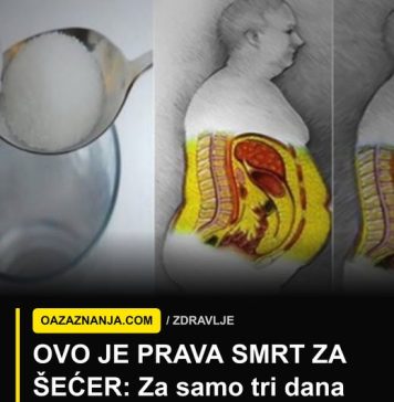 OVO JE PRAVA SMRT ZA ŠEĆER: Za samo tri dana gledaćete kako nestaje iz vas, dok vi gubite težinu! OVO JE PRAVA SMRT ZA ŠEĆER: Za samo tri dana gledaćete kako nestaje iz vas, dok vi gubite težinu! - featured image