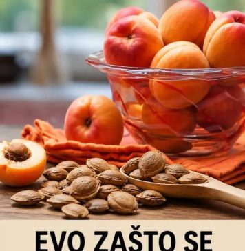 Evo zašto se seme kajsije smatra najmoćnijim lekom iz prirode: Obavezan deo ishrane! Evo zašto se seme kajsije smatra najmoćnijim lekom iz prirode: Obavezan deo ishrane! - featured image