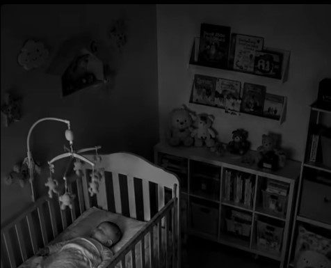 Noćna straža zlatnog retrivera: kako je Max postao tihi čuvar bebe u domu mladih roditelja Noćna straža zlatnog retrivera: kako je Max postao tihi čuvar bebe u domu mladih roditelja - featured image