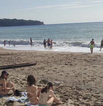 Panika kod Sutomora, JEZIVO MORSKO STVORENJE sledilo kupače!SVI PREDTRAVLJENI POBJEGLI SA PLAŽE GLAVOM BEZ OBZIRA!!! Panika kod Sutomora, JEZIVO MORSKO STVORENJE sledilo kupače!SVI PREDTRAVLJENI POBJEGLI SA PLAŽE GLAVOM BEZ OBZIRA!!! - featured image