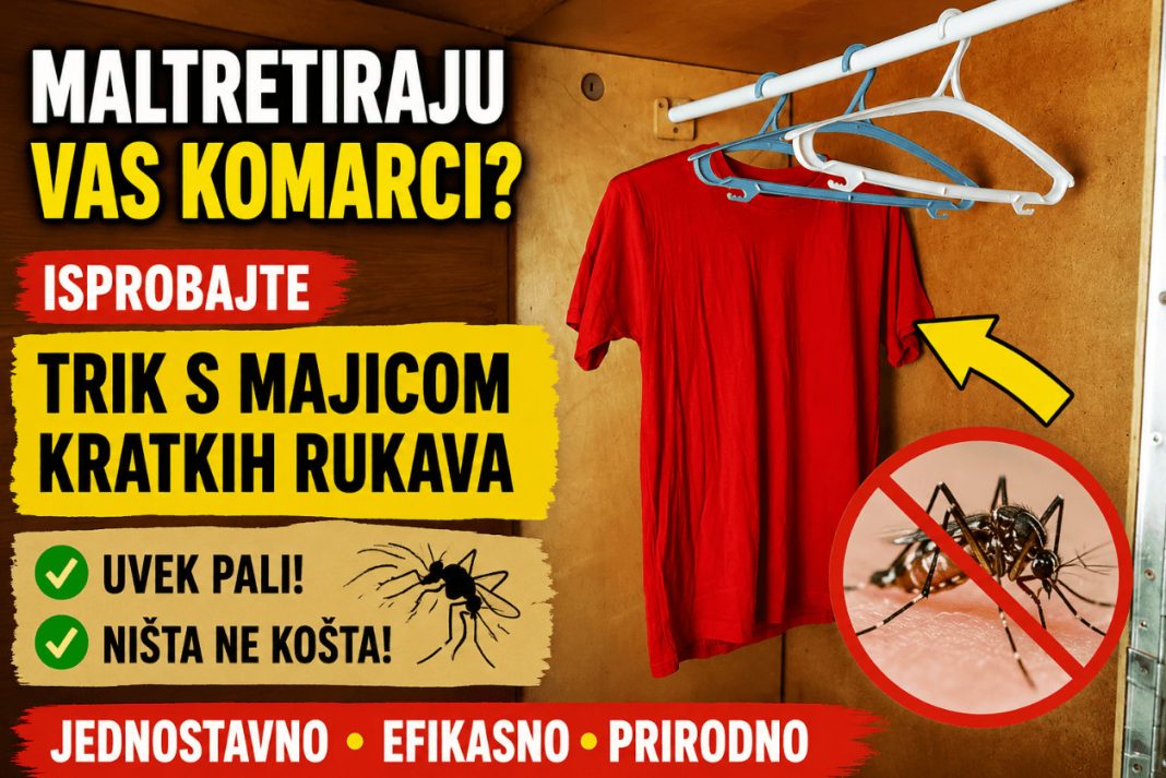 Maltretiraju vas komarci? Isprobajte trik s majicom kratkih rukava – uvek pali, a ništa ne košta! - content image