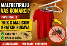 Maltretiraju vas komarci? Isprobajte trik s majicom kratkih rukava – uvek pali, a ništa ne košta! Maltretiraju vas komarci? Isprobajte trik s majicom kratkih rukava – uvek pali, a ništa ne košta! - content image