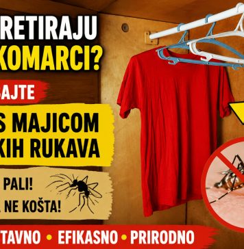 Maltretiraju vas komarci? Isprobajte trik s majicom kratkih rukava – uvek pali, a ništa ne košta! Maltretiraju vas komarci? Isprobajte trik s majicom kratkih rukava – uvek pali, a ništa ne košta! - content image