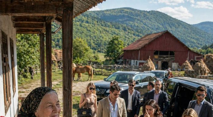 Kupila sam seosko imanje kako bih mirno provela mirovinu, ali moj je sin htio dovesti cijelu ekipu i rekao mi: „Ako ti ne odgovara, vrati se u grad.” Nisam rekla ništa. Ali kad su stigli, vidjeli su iznenađenje koje sam im pripremila. Kupila sam seosko imanje kako bih mirno provela mirovinu, ali moj je sin htio dovesti cijelu ekipu i rekao mi: „Ako ti ne odgovara, vrati se u grad.” Nisam rekla ništa. Ali kad su stigli, vidjeli su iznenađenje koje sam im pripremila. - featured image