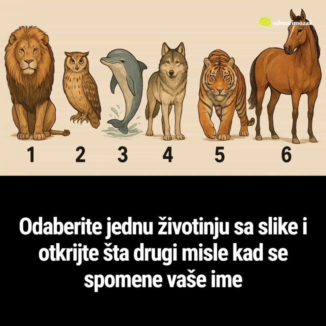 Odaberite jednu životinju sa slike i otkrijte šta drugi misle kad se spomene vaše ime - featured image Odaberite jednu životinju sa slike i otkrijte šta drugi misle kad se spomene vaše ime - featured image