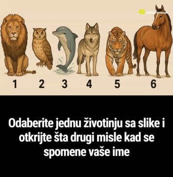 Odaberite jednu životinju sa slike i otkrijte šta drugi misle kad se spomene vaše ime Odaberite jednu životinju sa slike i otkrijte šta drugi misle kad se spomene vaše ime - featured image