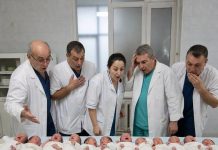 Žena je rodila 11 beba odjednom. Ali kada su ih lekari pažljivije pogledali, UKOČILI SU SE: Ono što su gledali uopšte nisu bile bebe… Žena je rodila 11 beba odjednom. Ali kada su ih lekari pažljivije pogledali, UKOČILI SU SE: Ono što su gledali uopšte nisu bile bebe… - featured image