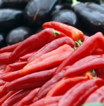 U svježim paprikama otkrivena TOKSIČNA HEMIKALIJA! Izuzetno je opasna za ljude, evo gdje se prodaje U svježim paprikama otkrivena TOKSIČNA HEMIKALIJA! Izuzetno je opasna za ljude, evo gdje se prodaje - featured image
