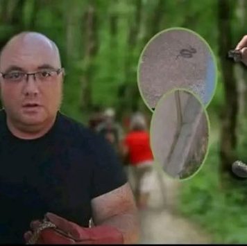 Kako postupiti pri susretu sa zmijom i zašto je svaka minuta nakon ugriza važna Kako postupiti pri susretu sa zmijom i zašto je svaka minuta nakon ugriza važna - featured image