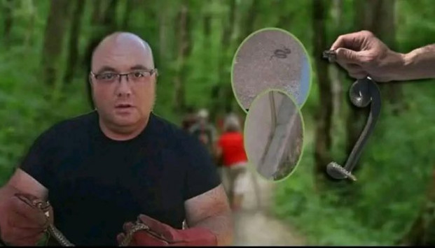Kako postupiti pri susretu sa zmijom i zašto je svaka minuta nakon ugriza važna Kako postupiti pri susretu sa zmijom i zašto je svaka minuta nakon ugriza važna - featured image