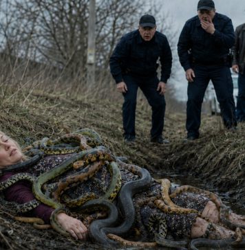 Ženu koja je ležala u kanalu obavijale su zmije. Čak su se i policajci bojali prići bliže. A trenutak kasnije svi su ostali šokirani onim što su vidjeli….😲😲😲 Ženu koja je ležala u kanalu obavijale su zmije. Čak su se i policajci bojali prići bliže. A trenutak kasnije svi su ostali šokirani onim što su vidjeli….😲😲😲 - featured image
