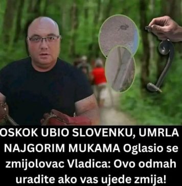 Poznati zmijolovac otkrio šta da uradite ako vas ujede zmija: Ovako prepoznajte otrovnicu od bezopasne vrste Poznati zmijolovac otkrio šta da uradite ako vas ujede zmija: Ovako prepoznajte otrovnicu od bezopasne vrste - featured image