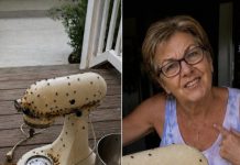 Susjeda me nagovorila da joj posudim mikser moje pokojne majke – onda ga je razbila, ostavila prljavog na mom trijemu i nekako me natjerala da se zapitam je li to bilo namjerno Susjeda me nagovorila da joj posudim mikser moje pokojne majke – onda ga je razbila, ostavila prljavog na mom trijemu i nekako me natjerala da se zapitam je li to bilo namjerno - featured image