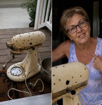 Susjeda me nagovorila da joj posudim mikser moje pokojne majke – onda ga je razbila, ostavila prljavog na mom trijemu i nekako me natjerala da se zapitam je li to bilo namjerno Susjeda me nagovorila da joj posudim mikser moje pokojne majke – onda ga je razbila, ostavila prljavog na mom trijemu i nekako me natjerala da se zapitam je li to bilo namjerno - featured image