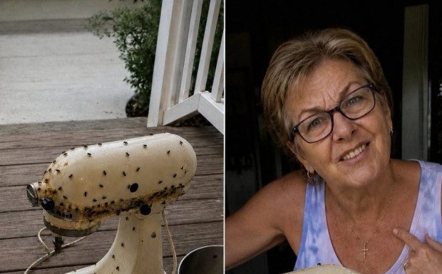 Susjeda me nagovorila da joj posudim mikser moje pokojne majke – onda ga je razbila, ostavila prljavog na mom trijemu i nekako me natjerala da se zapitam je li to bilo namjerno Susjeda me nagovorila da joj posudim mikser moje pokojne majke – onda ga je razbila, ostavila prljavog na mom trijemu i nekako me natjerala da se zapitam je li to bilo namjerno - featured image