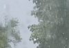 🚨 APOKALIPTIČNI PRIZORI IZ SRBIJE: Od kiše se ne vidi prst pred okom, grad uništava sve na svom putu! 🌩️👇 🚨 APOKALIPTIČNI PRIZORI IZ SRBIJE: Od kiše se ne vidi prst pred okom, grad uništava sve na svom putu! 🌩️👇 - featured image