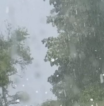 🚨 APOKALIPTIČNI PRIZORI IZ SRBIJE: Od kiše se ne vidi prst pred okom, grad uništava sve na svom putu! 🌩️👇 🚨 APOKALIPTIČNI PRIZORI IZ SRBIJE: Od kiše se ne vidi prst pred okom, grad uništava sve na svom putu! 🌩️👇 - featured image