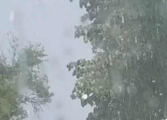 🚨 APOKALIPTIČNI PRIZORI IZ SRBIJE: Od kiše se ne vidi prst pred okom, grad uništava sve na svom putu! 🌩️👇 🚨 APOKALIPTIČNI PRIZORI IZ SRBIJE: Od kiše se ne vidi prst pred okom, grad uništava sve na svom putu! 🌩️👇 - featured image