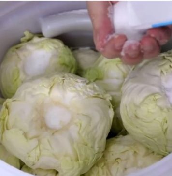Koliko soli ide na 10 litara vode za kiseli kupus? Samo ovo je prava količina Koliko soli ide na 10 litara vode za kiseli kupus? Samo ovo je prava količina - featured image