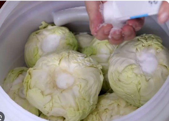 Koliko soli ide na 10 litara vode za kiseli kupus? Samo ovo je prava količina - featured image Koliko soli ide na 10 litara vode za kiseli kupus? Samo ovo je prava količina - featured image