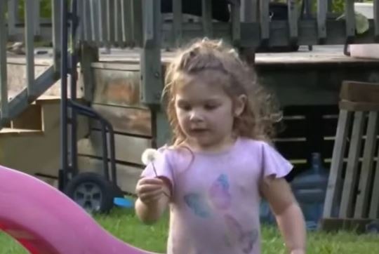 Djevojčica (2) danima ležala u ŠUMI: Kada su je pronašli, svojim riječima je RASPLAKALA cijelu zemlju Djevojčica (2) danima ležala u ŠUMI: Kada su je pronašli, svojim riječima je RASPLAKALA cijelu zemlju - featured image