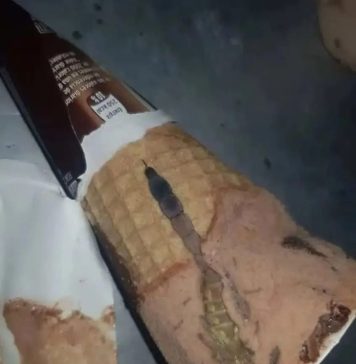 Moja ćerka je otvorila sladoled i unutra je našla nešto čudno — nismo odmah shvatili šta je to bilo. Moja ćerka je otvorila sladoled i unutra je našla nešto čudno — nismo odmah shvatili šta je to bilo. - featured image