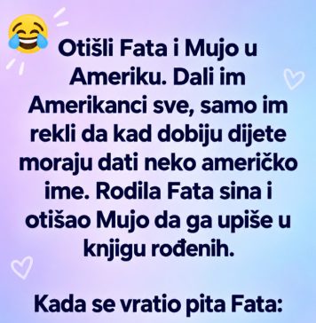 VIC DANA: Fata i Mujo u Americi VIC DANA: Fata i Mujo u Americi - featured image