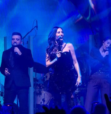 Ceca prekinula koncert, kad vidite šta su joj uradili, zaledit ćete se Ceca prekinula koncert, kad vidite šta su joj uradili, zaledit ćete se - featured image